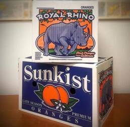 0321_sunkist01