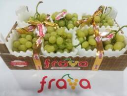FraVa1