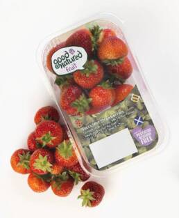 Fruit-lidding-film-2015-TCL-Packaging
