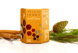 WILD HONEY w Cinnamon 2014 copy