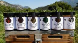 korys
