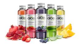Aloe Valley 2