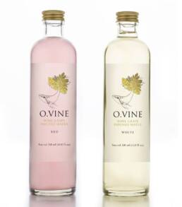WINE GRAPE INFUSED WATER
