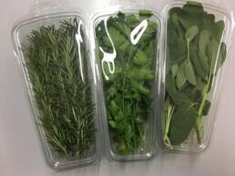 Envase