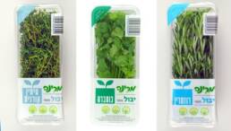 herbs1