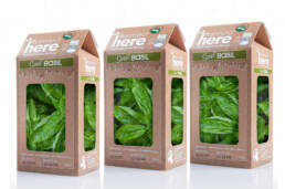 packaging-design-for-organic-foods