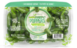 mucci-cc-poppers-1