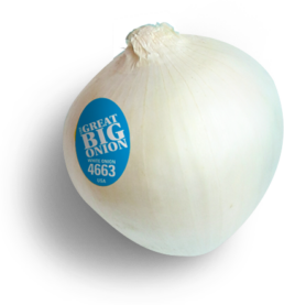 Onion