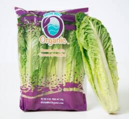 Organic-Romaine-Bag--1-head5b25d
