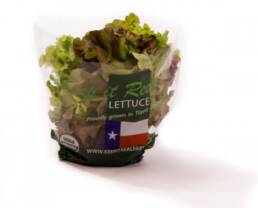 lettuce-basic-specification