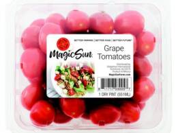 Magicsun460x345