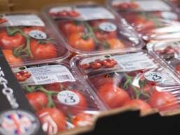 freshpack