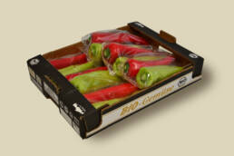 capsicum_long_box