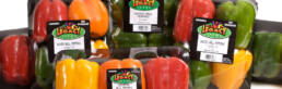 legacy_peppers