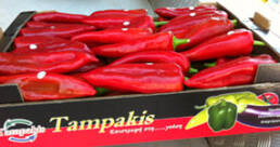pack_color_pepper