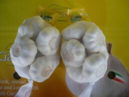 JiningLandProduce03