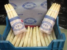 asperges