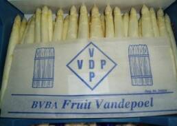 vandepoel1