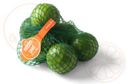 Limes-Netlon