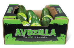AvozillaImage