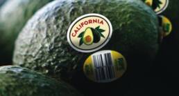 CAC-Avos-w-CA-Label