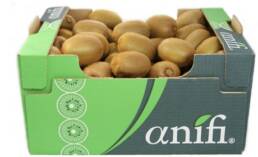 kiwi2