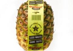 ananas