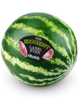watermelon-460x_566226250-v2b