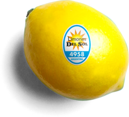 Lemon