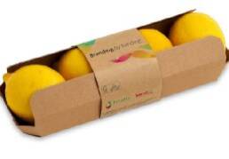 lemon