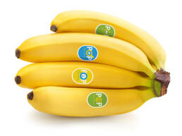 Labeling-Food-Direct-Bananas