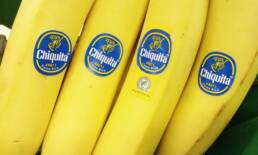 chiquita-banana