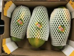 papaya_caja