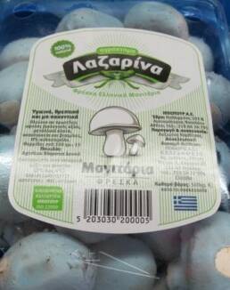 manitarialazarinaellinika