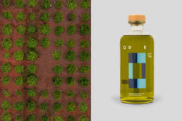 AG-Design_ODE-Fine-Foods-19