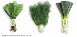 Foxy Organic Dandelion Greens2c Fennel and Leeks