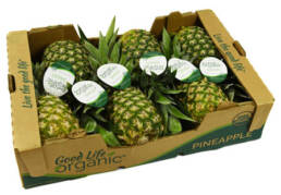 Veg_fresh_pines
