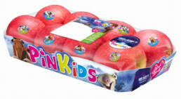 PinKids_age_de_glace_2