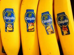 chiquitaminions