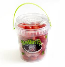 v_h_tomaten_-bellino_emmer 1