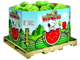 watermelons1