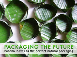 banana-leaves-packaging-the-future-series1