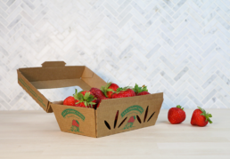 RECYCLABE PACKAGING