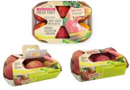 RECYCLABE