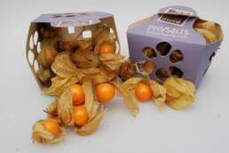 SUGAR CANE CARTON