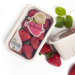 Top_sealable_compostbale_recycable_strawberry_punnet_CKF_02_Fancybox