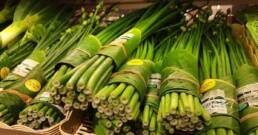 plastic-banana-leaf-1553797371114