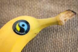 sustainable-packaging-trends