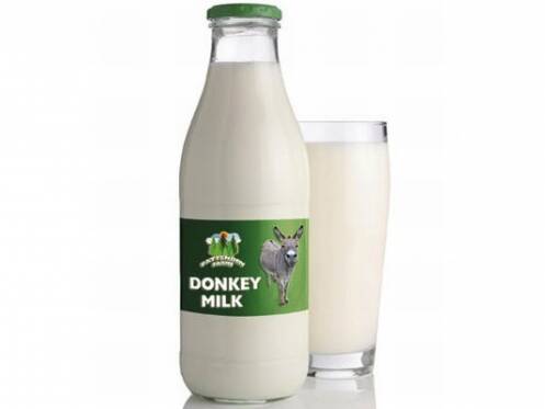 Donkey milk