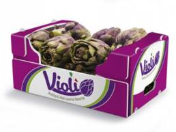 violi